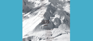 Brochure Grupo Luksic 2025